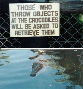 [IMAGE]