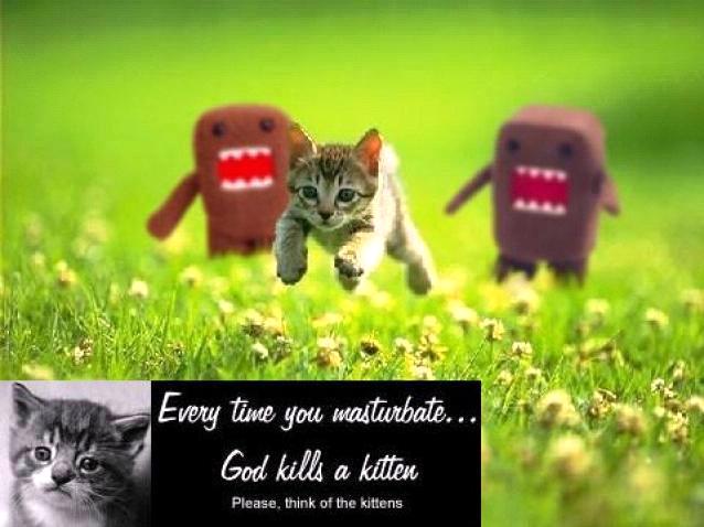 [IMAGE]